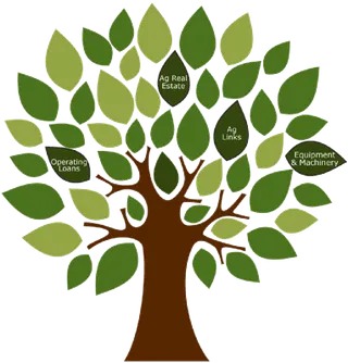 植物树现代农业