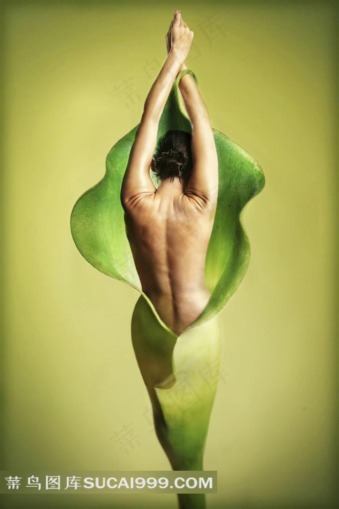 马蒂莲与美女的结合体