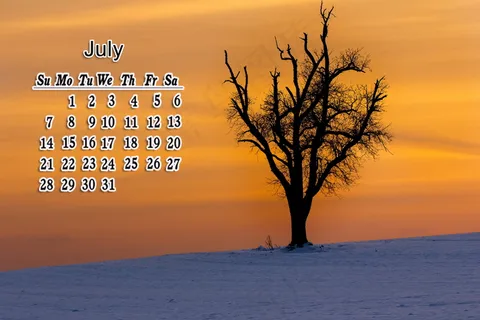 2019七月份日历表图片