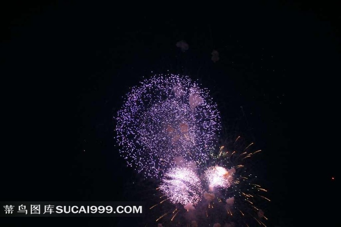 紫色圆圈形的烟花图片