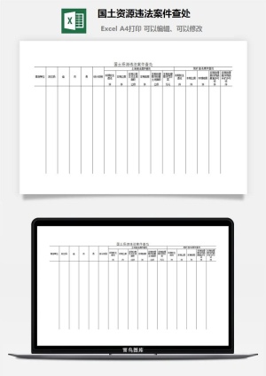 国土资源违法案件查处excel模板预览图