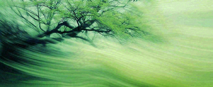 绿色植物树木绚丽虚幻背景