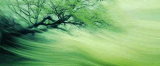 绿色植物树木绚丽虚幻背景