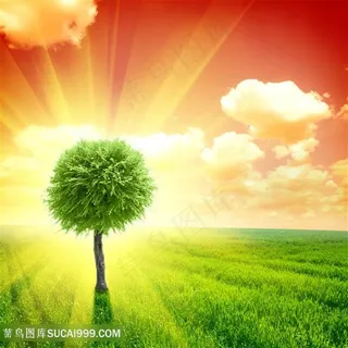 唯美创意草原高清风景图片