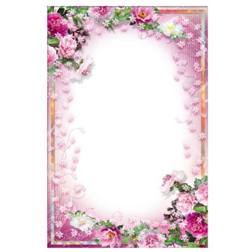 花框 PNG免抠(750x750)