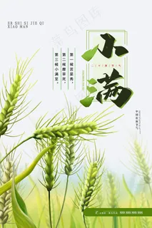 手绘24传统节气小满节日海报 手绘24传统节气小满节日海报