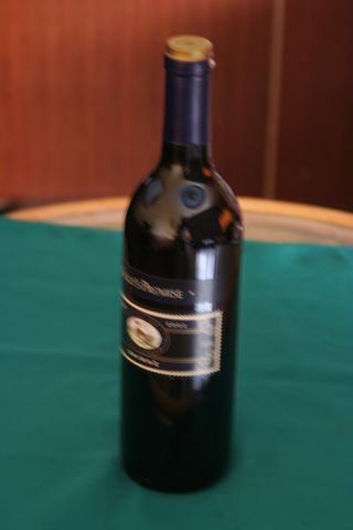 澳大利亚凯丽诺言雪华沙 (4)