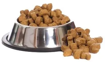 狗粮 PNG免抠(336x201)