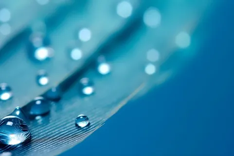 露珠蓝色清新大气背景