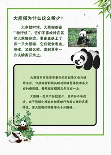简约可爱的大熊猫知识海报