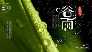 谷雨二十四节气海报设计