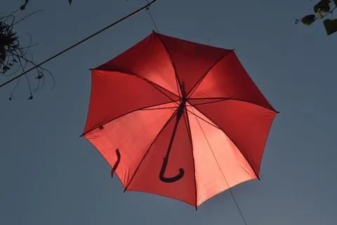 红色雨伞图片 红色雨伞图片