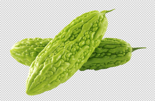 苦瓜免扣素材