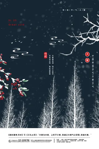 二十四24节气大寒中国传统节日冬季海报模设计素材