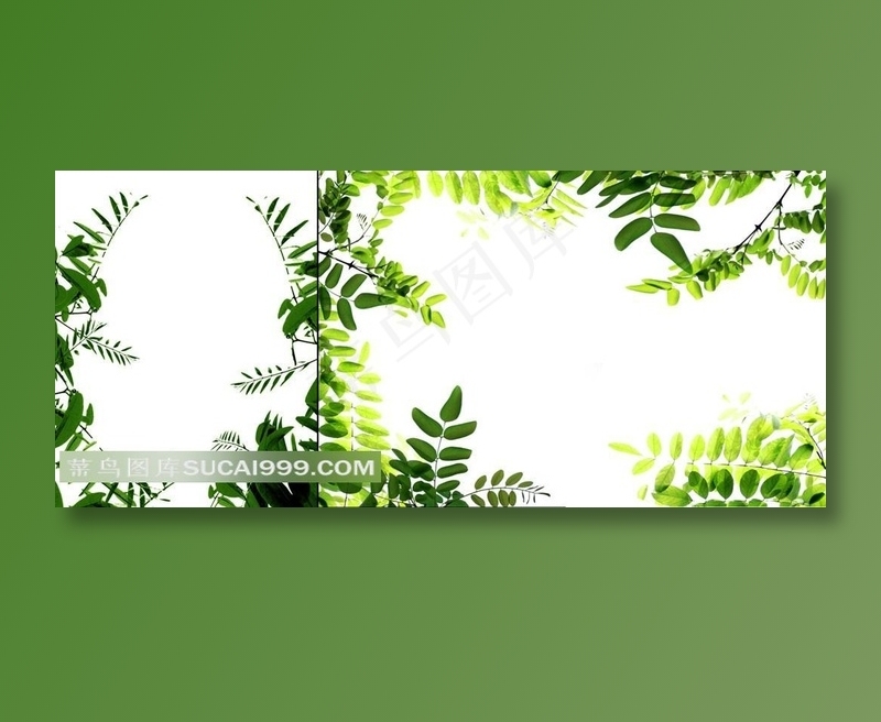 2款植物绿叶边框高清图片