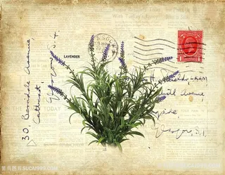 欧式花朵装饰画