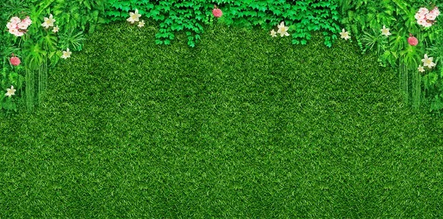 草皮墙花草背景墙