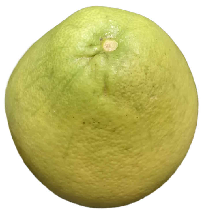 沙田柚红心柚蜜柚柚子水果免抠摄影实拍元素素材