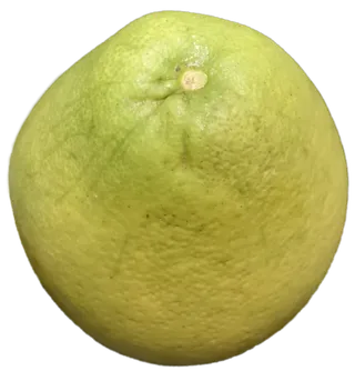 沙田柚红心柚蜜柚柚子水果免抠摄影实拍元素素材