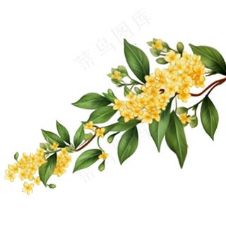 桂花黄花树枝免抠