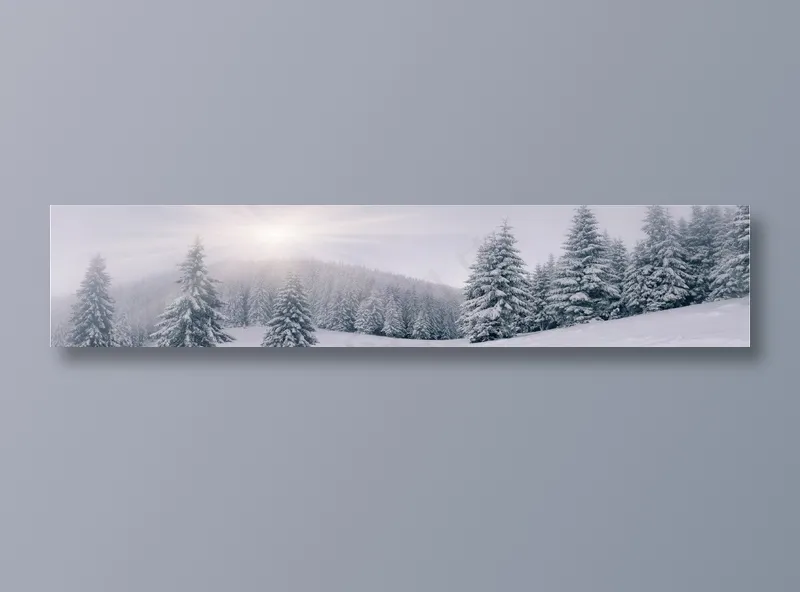 冬天雪景图片