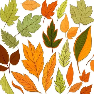 秋天黄色叶子树叶插画免抠