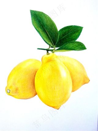 水果柠檬图片