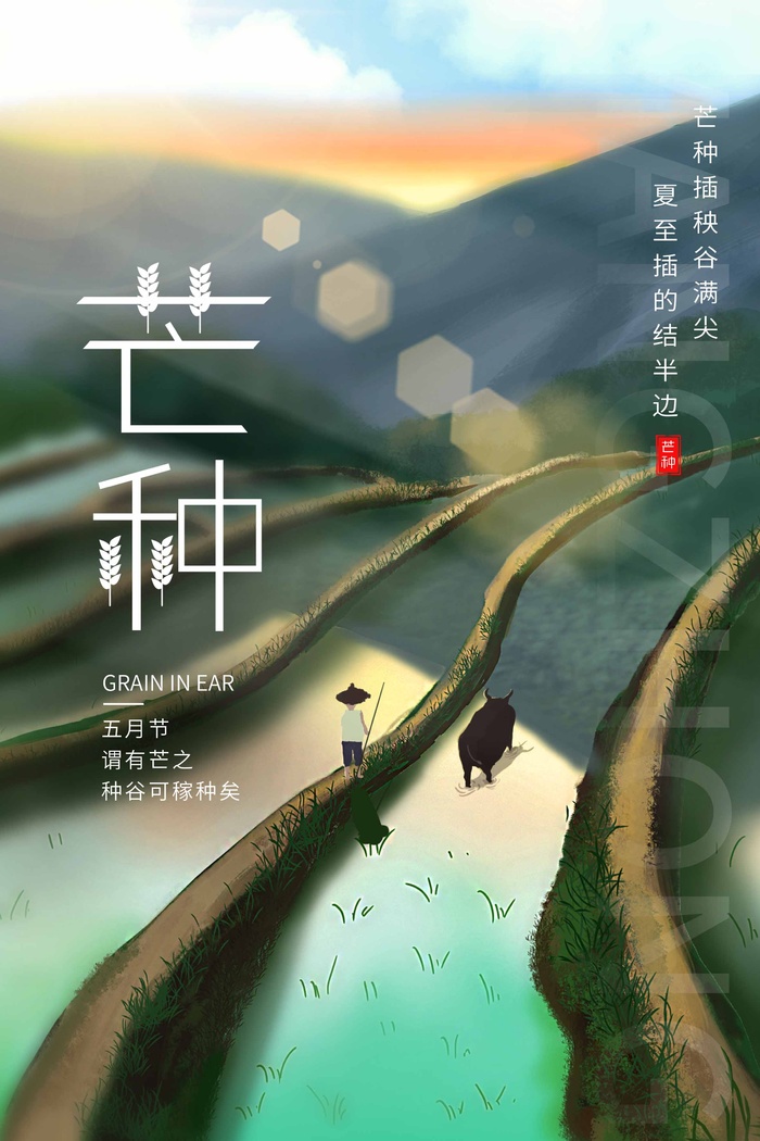 芒种 芒种活动海报psd模版下载
