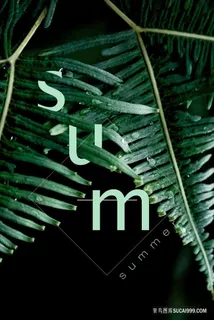 绿色植物装饰画