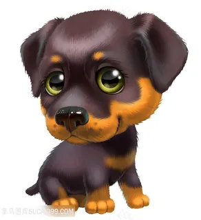 萌萌的小狗高清图片 萌萌的小狗高清图片