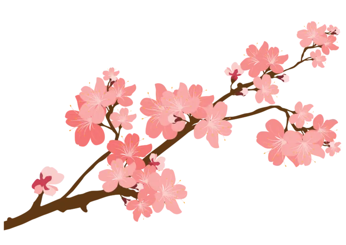 春天浪漫粉红色樱花手绘樱花梅花桃花花朵图片PNG免扣素材