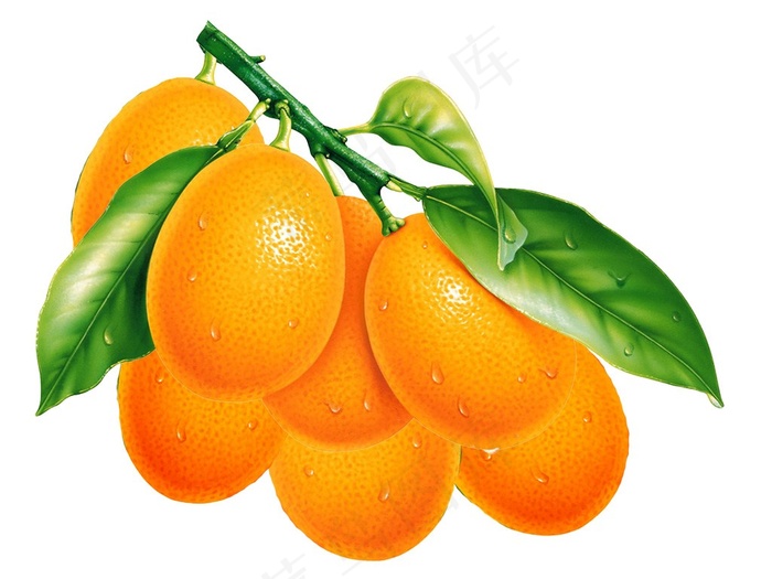 带把带树叶的橘红色新鲜柠檬