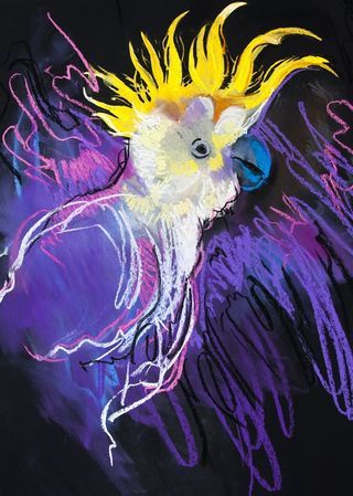 中国画抽象鹦鹉