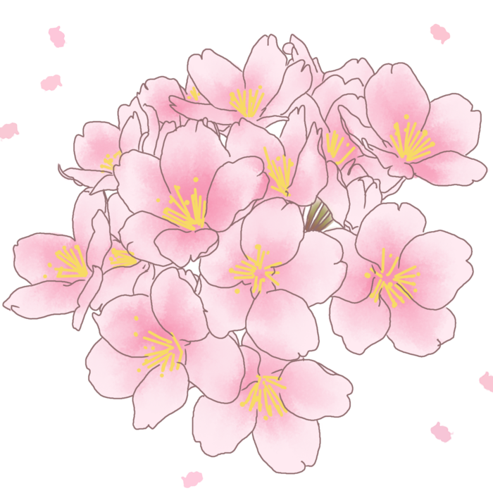 春天浪漫粉红色樱花手绘樱花梅花桃花花朵图片PNG免扣素材