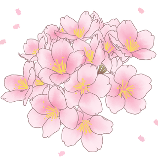 春天浪漫粉红色樱花手绘樱花梅花桃花花朵图片PNG免扣素材