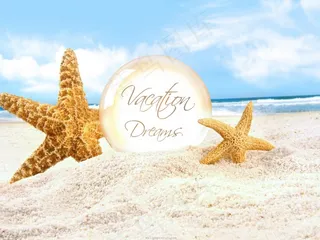 夏日海滩沙滩海星海边高清背景