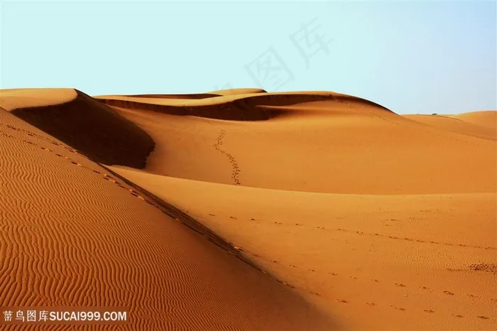 沙漠阳光风景背景图
