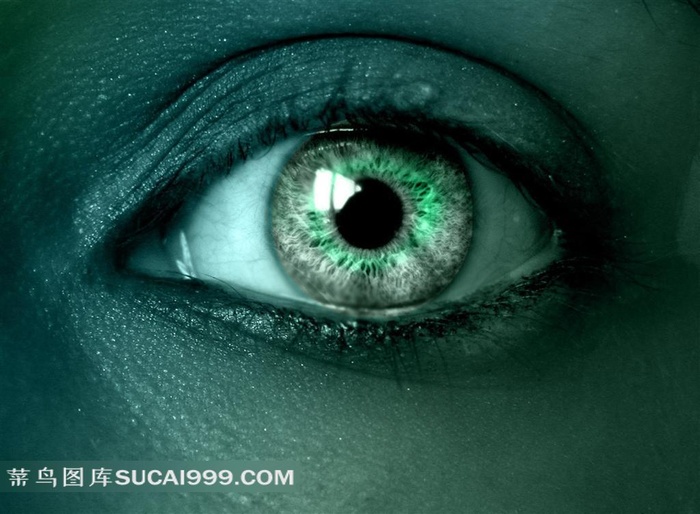 眼部彩妆素材图片