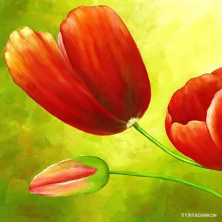 唯美红色花朵高清插画 唯美红色花朵高清插画