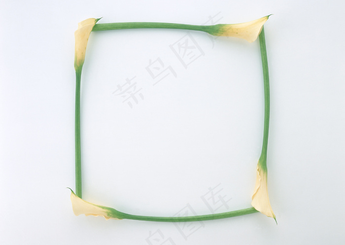 花框 2