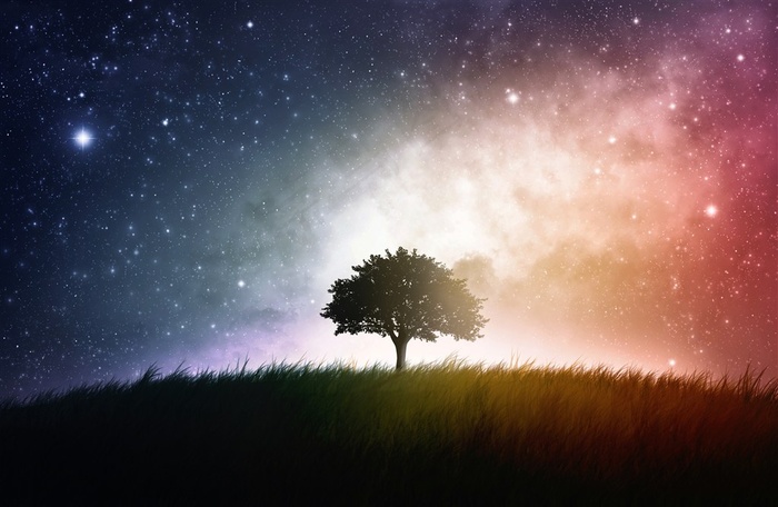 唯美星空下的大树剪影