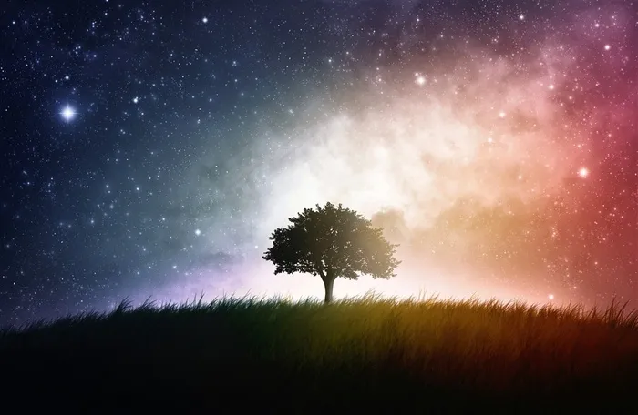 唯美星空下的大树剪影