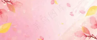 春天粉色樱花浪漫树枝花瓣花朵，阳光清新立春