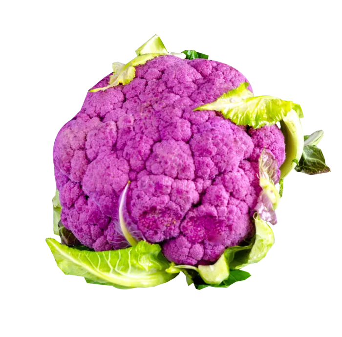 紫色花菜蔬菜