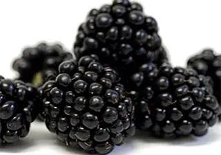 黑莓 PNG免抠