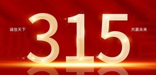 315海报