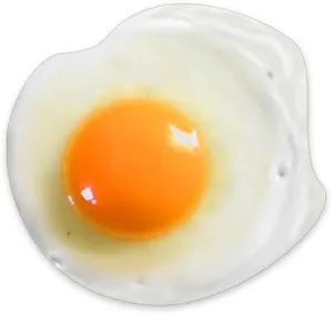 煎蛋 PNG免抠