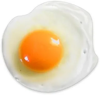 煎蛋 PNG免抠