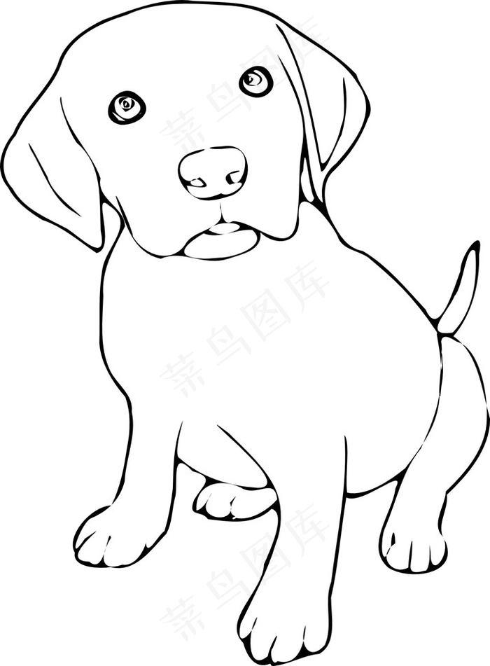 金毛犬卡通图片