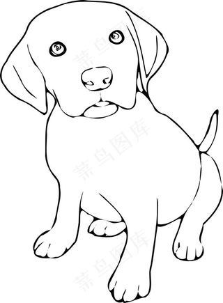 金毛犬卡通图片